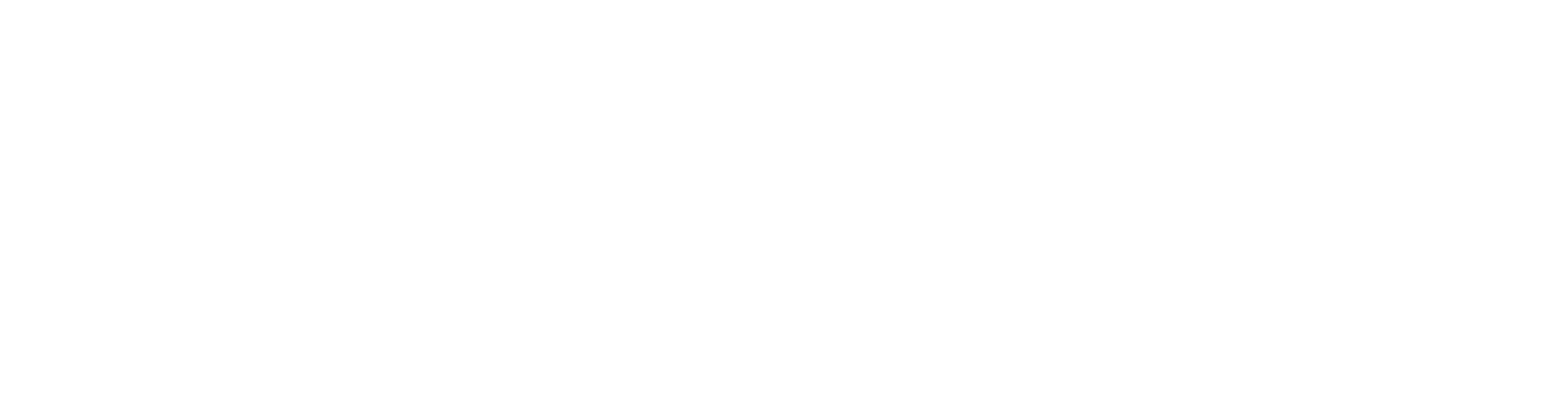 HoldsTrue